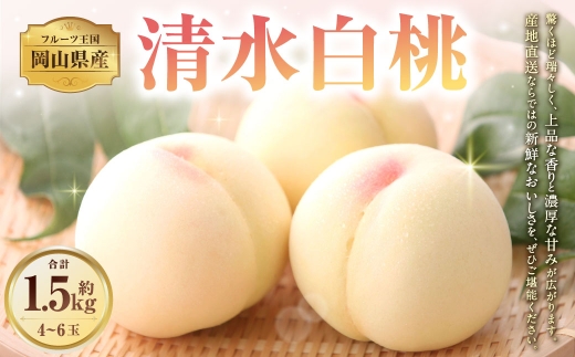 岡山県産清水白桃 約1.5kg （ 4 ～ 6玉 ） もも モモ 桃 白桃 くだもの 果物 フルーツ 果実 果汁 果肉 国産 岡山県産 産地直送 香り 甘味 旬 【 2026年7月上旬～8月上旬迄発送予定 】