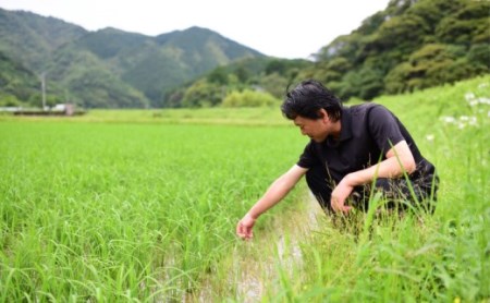 【令和4年産】ふくい農園のおいしいお米（よさ恋美人15kg）期間限定・数量限定