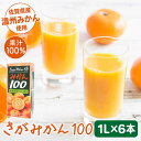 【ふるさと納税】【佐賀県産温州みかん使用】さがみかん100　1L×6本【JAさが 杵島支所】果汁100% 濃縮還元[HAM039]