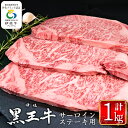 【ふるさと納税】鹿児島県産黒毛和牛 伊佐黒王牛サーロインステーキ！(計1kg・250g×4パック) ブランド牛 牛肉 国産 九州産 鹿児島県産 ステーキ肉 和牛 ギフト 肉 贈り物 プレゼント 焼肉【プラン・ビー】