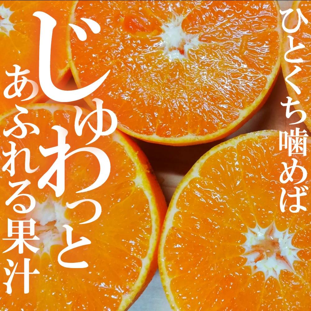 【ふるさと納税】【配送不可地域：北海道・沖縄県・離島】せとか　三豊市産　約5ｋｇ 秋 旬