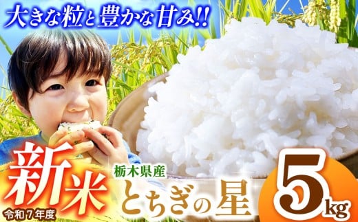 【先行予約】とちぎの星 5kg  | 新米 真岡市産 こしひかり コシヒカリ とちぎの星 銘柄 お米 米 おにぎり おむすび  ふるさと納税 先行 予約 栃木県 真岡市 送料無料