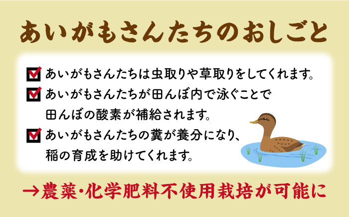 【先行予約】【全6回定期便】令和6年産 米作り名人完ちゃんの合鴨米 玄米 10kg 栽培期間中農薬化学肥料不使用 [YCT010]
