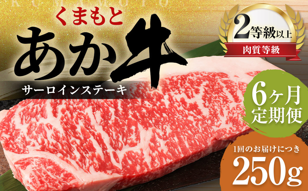 
                  ＜ R8年熊本地震復興支援 ＞【6ヶ月定期便】くまもとあか牛サーロイン 250g×1枚 牛肉 牛 肉
                