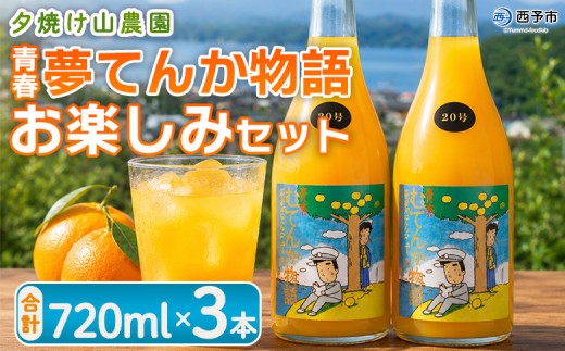 ＜青春 夢てんか物語 お楽しみセット 3本＞『1か月以内に順次出荷予定』ジュース みかんジュース 温州みかん うんしゅうみかん ミックス 柑橘 果物 みかん 蜜柑 ミカン おまかせ お任せ 詰め合わせ 詰合せ 夕焼け山農園 特産品 愛媛県 西予市【常温】