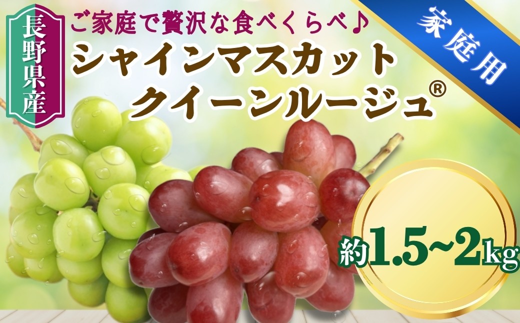 
                  【2026年先行予約】家庭用 シャインマスカット＆クイーンルージュ® 約1.5kg / 約2kg｜ 果物 フルーツ 白ぶどう 赤ぶどう 葡萄 ブドウ 種無し 種なし 皮ごと 千曲市 長野県 信州
                