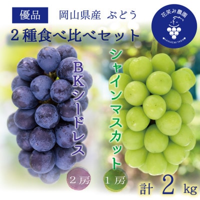 岡山　花笑み農園の『シャインマスカット＆BKシードレス』2kg　BS-2優【9月下旬～順次発送】【配送不可地域：離島・北海道・沖縄県】