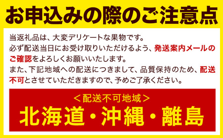 【☆2026年出荷☆】いちじく 福岡県産 ブランド いちじく とよみつひめ 約1.2kg (約300g×4パック) 【配送不可地域あり】【日付指定不可】 《8月中旬-9月末頃出荷(土日祝除く)》 福岡
