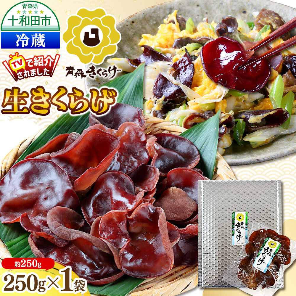 青森きくらげ（生キクラゲ）約250g 十和田市産 [国産 生きくらげ クール便]