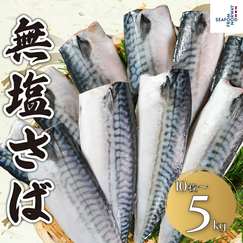 【ふるさと納税】 無塩さば 【選べる容量】 10枚〜5kg
