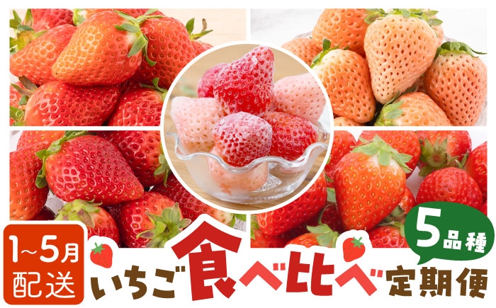 
                  【先行予約 2027年1月～発送】【5回定期便】いちご 5品種 食べ比べ 白いちご など 希少品種 も！【岸川農園】 九州 佐賀県 白石町  白石 [IAP010]
                