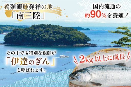 宮城・三陸産「伊達のぎん」銀鮭「お刺身サーモン」約700g