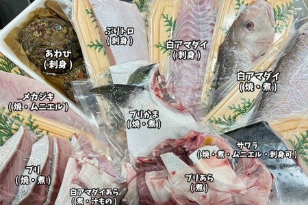 【定期便】どんちっち浜田【極み】鮮魚 2回コース～最高級この男シリーズ～海鮮 鮮魚 詰め合わせ【2016】