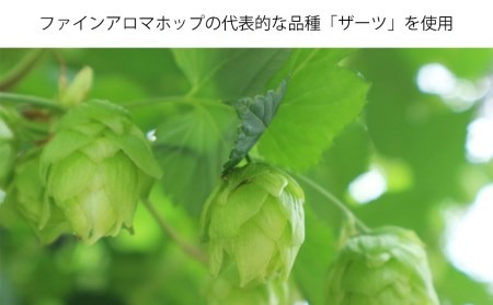 【2カ月定期便】軽井沢ブルワリー クラフトビール 10種30缶 飲み比べ セット | クラフトビール 地ビール