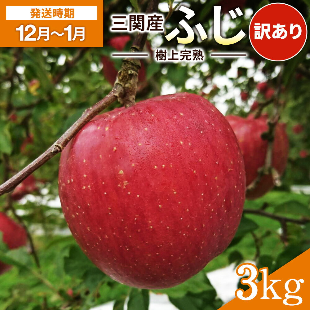 【ふるさと納税】【 訳あり 】＼樹上完熟で甘みが強い！／ 三関 りんご ふじ 3kg 家庭用 ふるさと納税 りんご 旬 ふじりんご 樹上 完熟 果物 フルーツ 秋田県 三関産 【三関果樹勉強会】[K3204]
