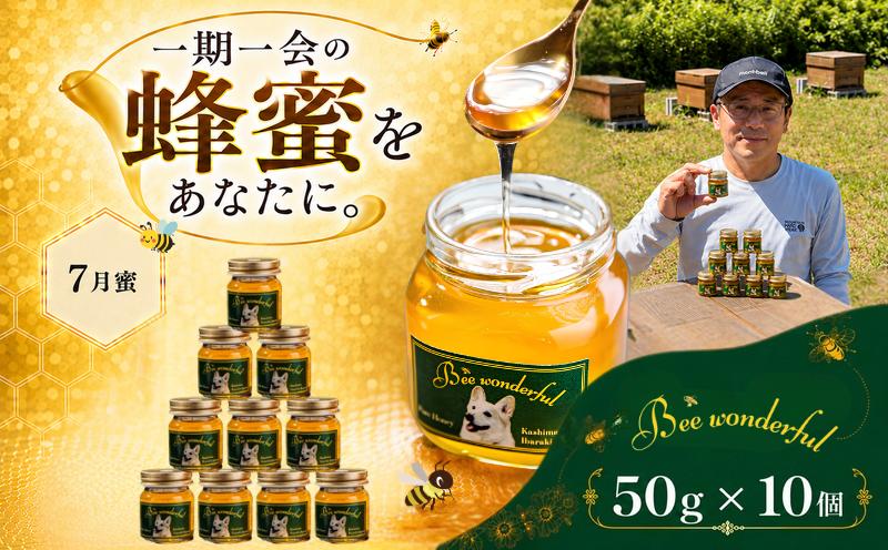 
                  はちみつ 百花蜜 養蜂 自家採蜜 非加熱 無添加 蜂蜜 産地直送 50g×10個 贈答用 贈答 ハニー 国産 プレゼント 一期一会 7月蜜 ギフト 栄養 自然のめぐみ ふるさと納税 茨城県 鹿嶋市
                