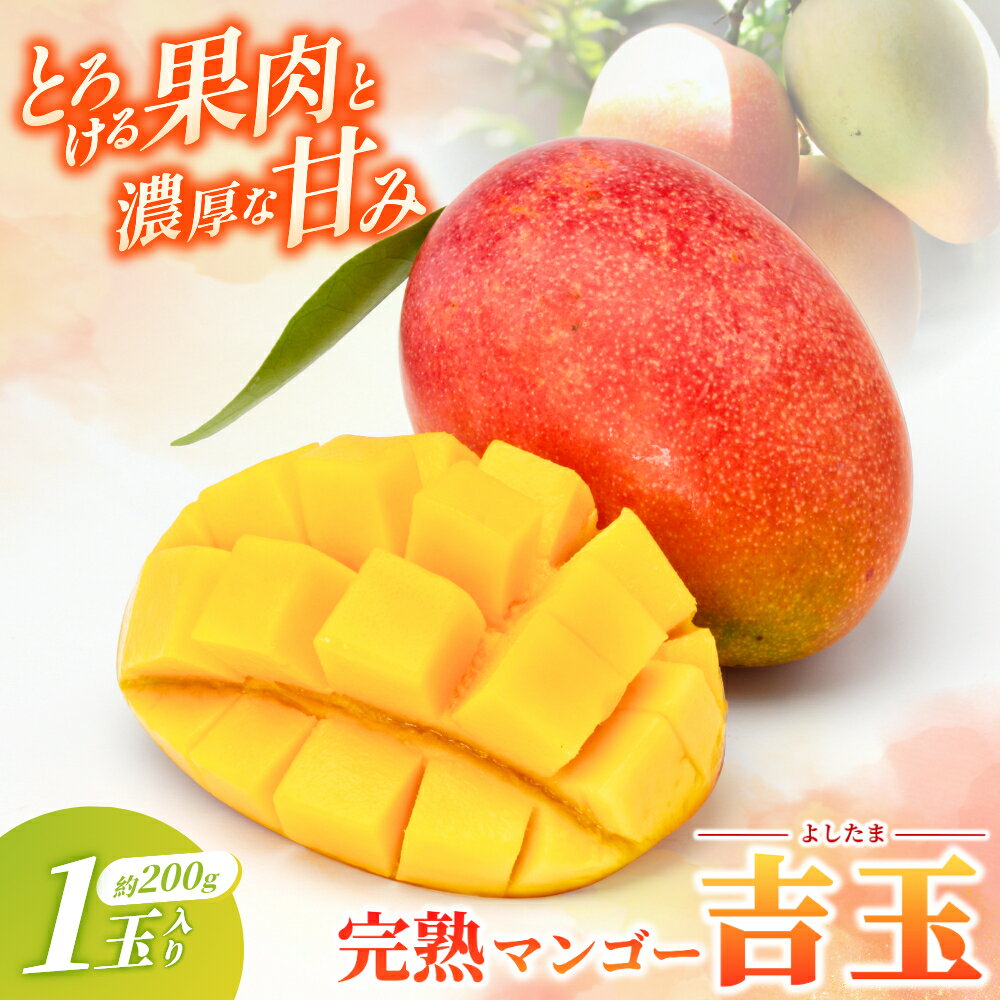 【ふるさと納税】 ◆先行予約◆和歌山県産　紀州完熟マンゴー『吉玉』1玉入り【2026年8月中旬から9月下旬頃順次発送予定】【MG21】 | フルーツ 果物 くだもの 食品 人気 おすすめ 送料無料