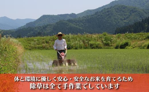 【令和７年産新米予約】南魚沼産コシヒカリ　富三郎　農薬8割減の特別栽培米　肥沃な大地と八海山の雪解け水が育んだ厳選米　無洗米５ｋｇ【2025年10月中旬より順次発送予定】