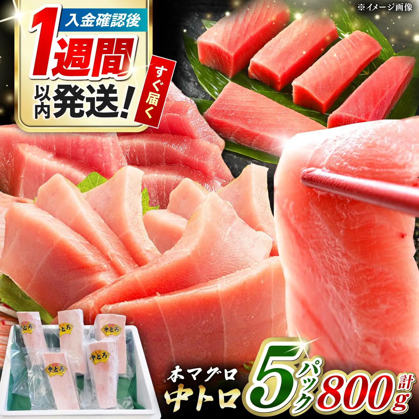 【1週間以内発送】対馬産 養殖 本マグロ 中トロ 800ｇ(5パック) マグロ 鮪 まぐろ 本鮪 中とろ  [WAH019] スピード発送 最速発送 最短発送