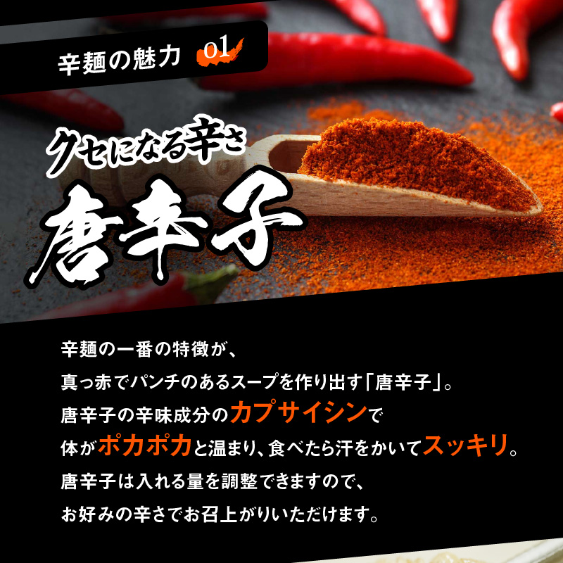 辛麺 6食分＆なんこつ3セット N040-YB923