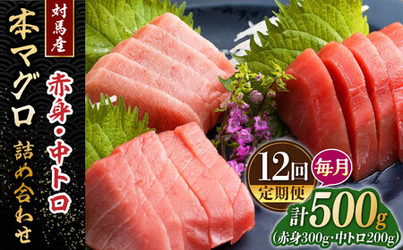 【全12回定期便】対馬産 本マグロ 500g（赤身300g、中トロ200g） ≪対馬市≫【桐谷商店】 トロの華 対馬 新鮮 マグロ トロ 鮪 刺身 鮮度抜群[WAQ046]