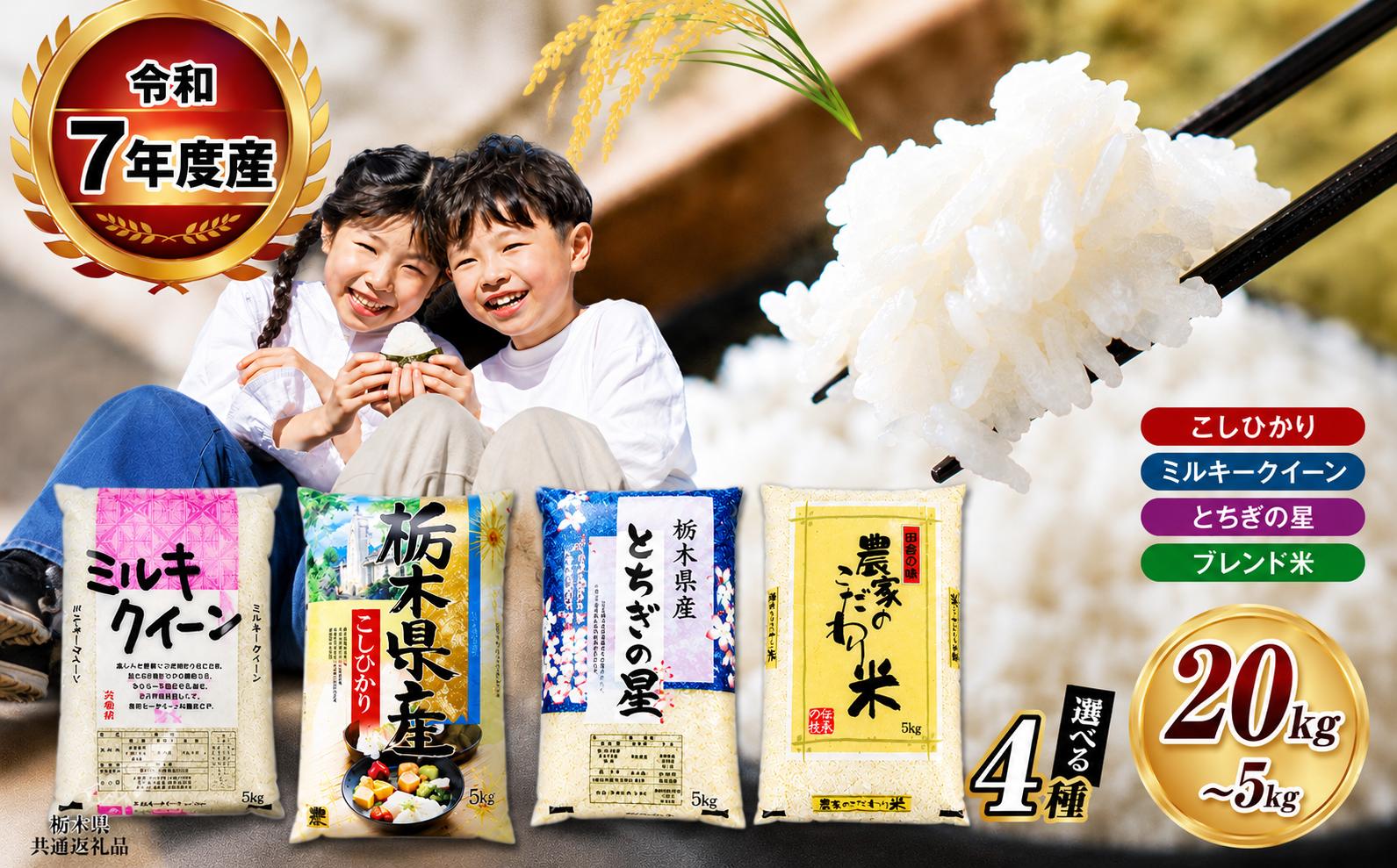 
                  【栃木県共通返礼品】　令和7年度産 栃木県産 こしひかり ミルキークイーン とちぎの星  ブレンド米 5kg 10kg 20kg  |  ふるさと 納税 コシヒカリ お米 精米 白米 玄米 大粒 小粒 共通返礼品 送料無料 那珂川町 栃木県
                