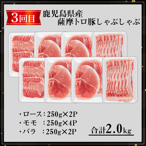 ＜定期便・全3回＞ 薩摩 トロ豚 食べ比べ 定期便 (合計5.5kg) 豚肉 【KNOT】 T61