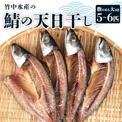 ふるさと納税 八幡浜市 竹中水産の「鯖の天日干し」脂のある大き目を5〜6匹ご用意!【C22-265】