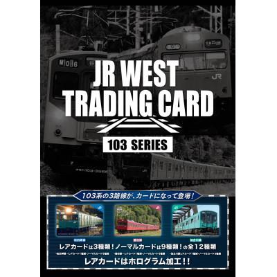 ふるさと納税 尼崎市 JR西日本トレーディングカード103系シリーズ2パックセット(1パック2枚入り) |  | 02