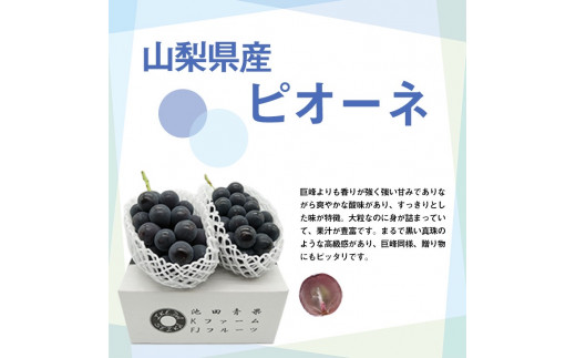 ＜2024年先行予約＞厳選!! 池田青果のピオーネ　1.0kg　2房 173-008