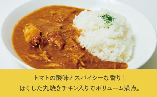 沖縄県産若鶏使用 オリジナルチキンカレー (1袋 約260g)  6袋セット | とりの丸焼こけこっこハウス | トマトベース オリジナル スパイス お肉たっぷり にんにくたっぷり 辛さ控え目 ヘルシ