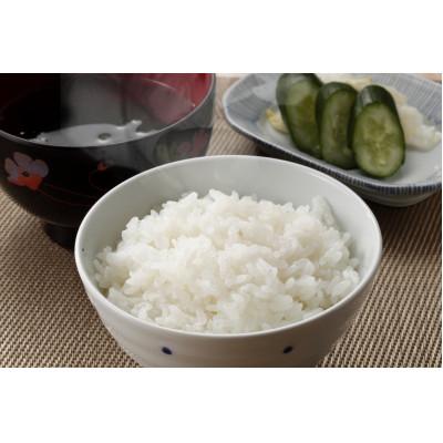 ふるさと納税 智頭町 【食味鑑定士厳選】鳥取県産 きぬむすめ20kg(5kg×4袋) 精米