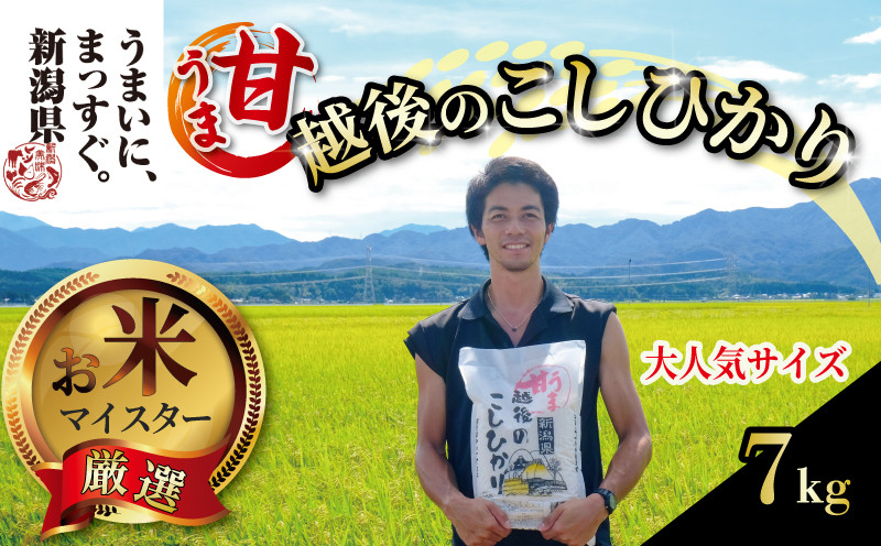 
            【令和6年産】甘うま越後のこしひかり 7kg 越後 えちご 玄米 特別栽培米 新潟 コメ こめ お米 米 しんまい 新潟県 新潟米 新発田市 新発田 斗伸
          