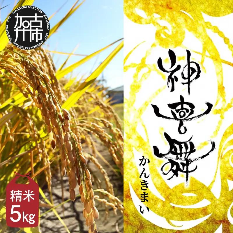 お米【神喜舞】精米 5kg [令和7年産]《 神喜米 お米 精米 5キロ 米 おこめ 国産 送料無料 ヒノヒカリ 》【084003B000】