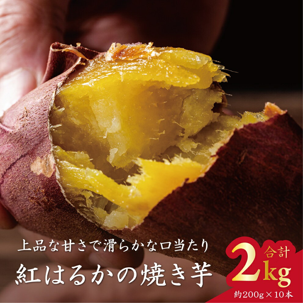 【ふるさと納税】★ふるさと納税限定★Ms.YAKIIMO　紅はるかの焼き芋　2kg(10本)(AP-9)
