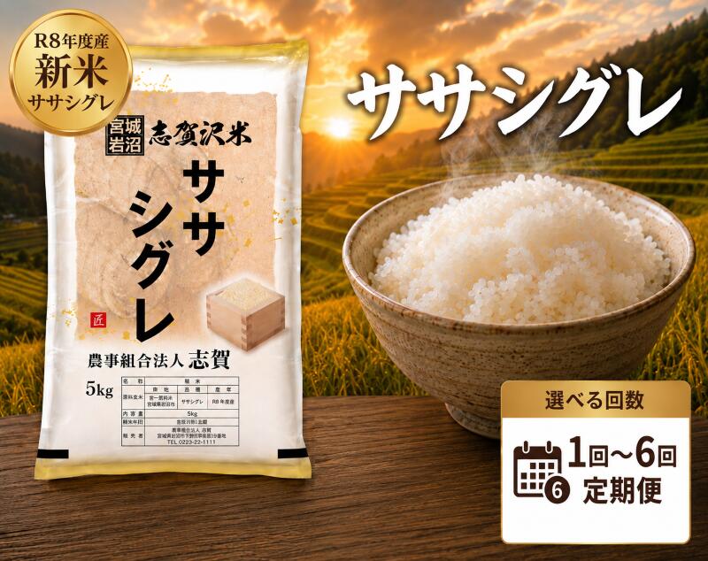 【ふるさと納税】 [令和8年産] 新米 ササシグレ [選べる回数] おこめ 白米 精米 コメ ライス ごはん 希少 幻の米 幻 まぼろし プレミアム キレ 高級 あっさり さっぱり 和食 飽きない 香り 大粒 食味 冷めてもおいしい 一度は食べてみたい 米の貴婦人 志賀沢米 岩沼産米