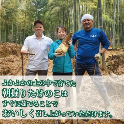 ふるさと納税 八幡市 【 先行受付 】京たけのこ 水煮 約1kg 京都府八幡市 白子筍 |  | 02
