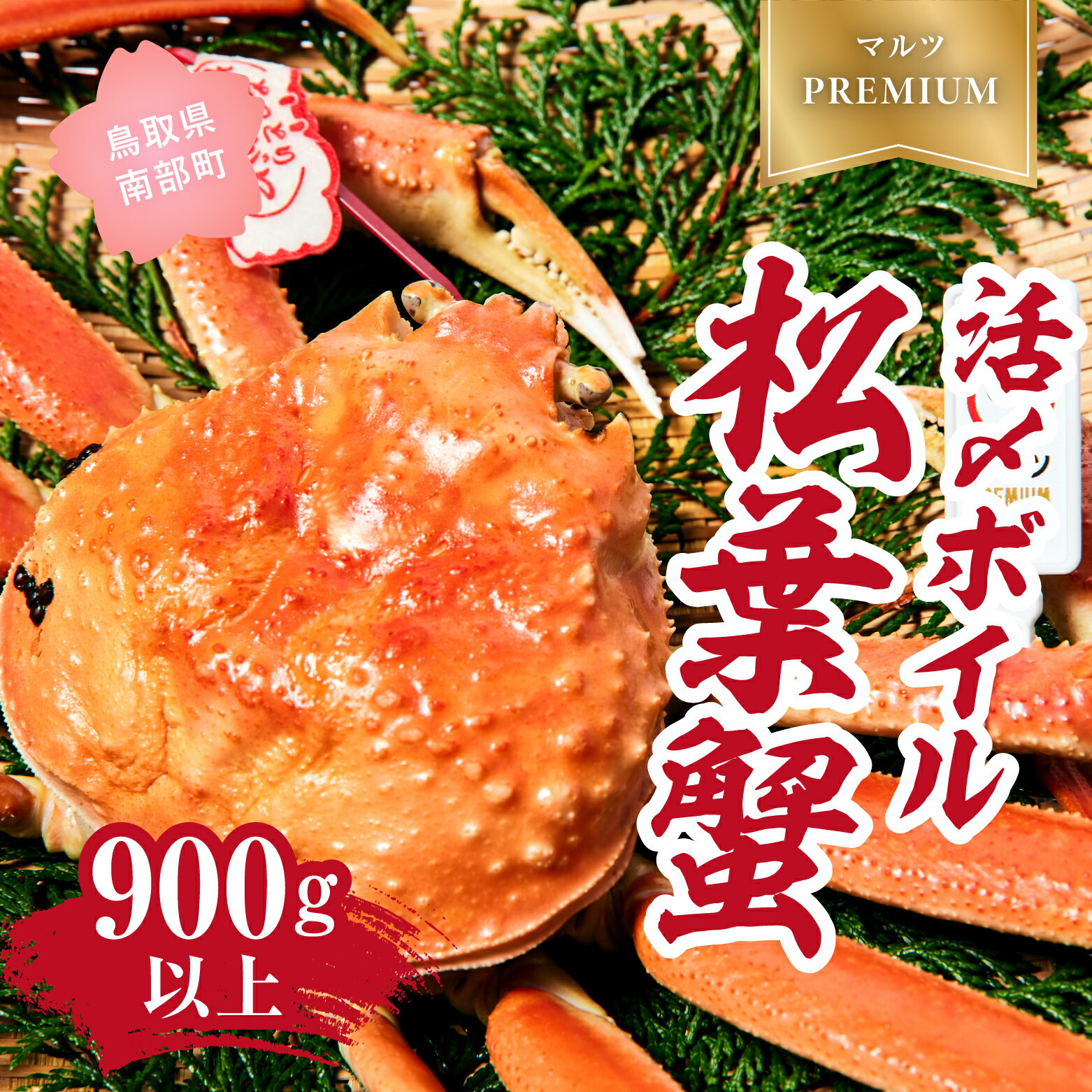 【ふるさと納税】【北海道・沖縄・離島配送不可】【マルツPREMIUM】タグ付き 活〆ボイル松葉蟹 900g以上 松葉ガニ 松葉がに 蟹 カニ かに 境港 マルツ