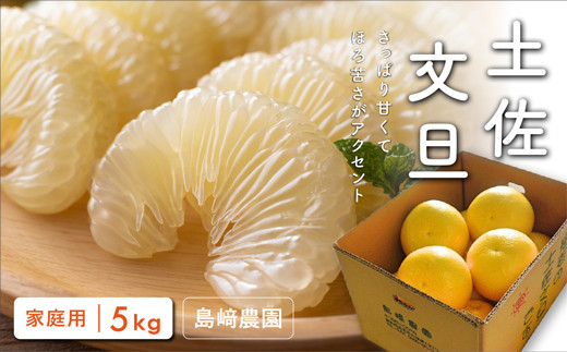 土佐文旦 約5kg 【家庭用】