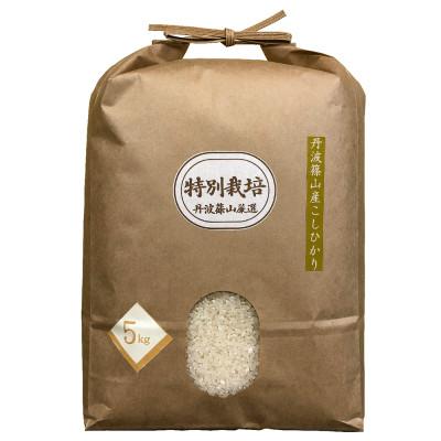 ふるさと納税 丹波篠山市 丹波篠山産特別栽培米コシヒカリ5kg×1