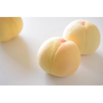 ふるさと納税 美作市 清水白桃100%使用・自然発泡ドライスパークリングワイン 〜ネクターのようなにごりと桃の香り〜 |  | 03