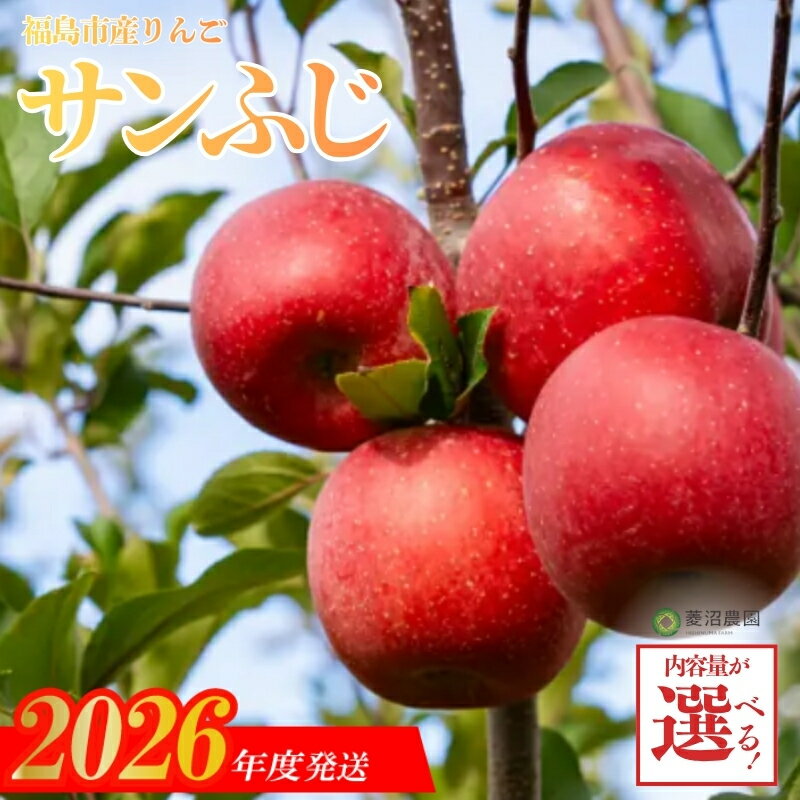 【ふるさと納税】菱沼農園 りんご「サンふじ」【2026年度発送】 選べる　内容量 約3kg 約5kg 福島 福島市 ふくしま フルーツ 果物