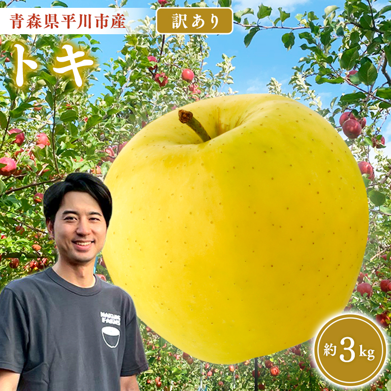 ≪2026年9月中旬頃より発送≫青森県産 訳あり トキ 約3kg【青森県 平川市 なるみ農園】家庭用 訳アリ 青森 青森県産 平川 りんご リンゴ 林檎 くだもの 果物 フルーツ 