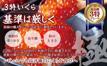 鮭いくら醤油漬け 800g(小分け2パック×2箱) 高評価 3特 ふるさと納税限定 いくら