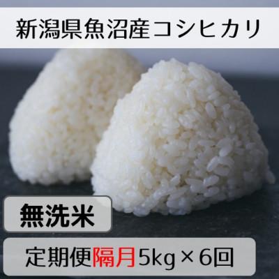 ふるさと納税 十日町市 【2ヵ月毎定期便】新潟県魚沼産コシヒカリ「山清水米」無洗米5kg全6回