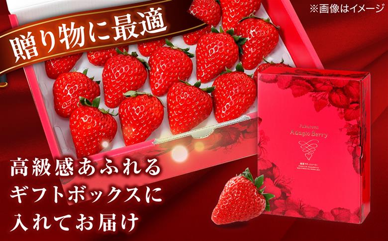 【先行予約】【2027年1月中旬順次発送】【100個限定】完熟いちご のつ農園 「福富アダージョベリー」 Lサイズ15個入り 島根県松江市/山陰中央テレビジョン放送株式会社 [ALFI004]