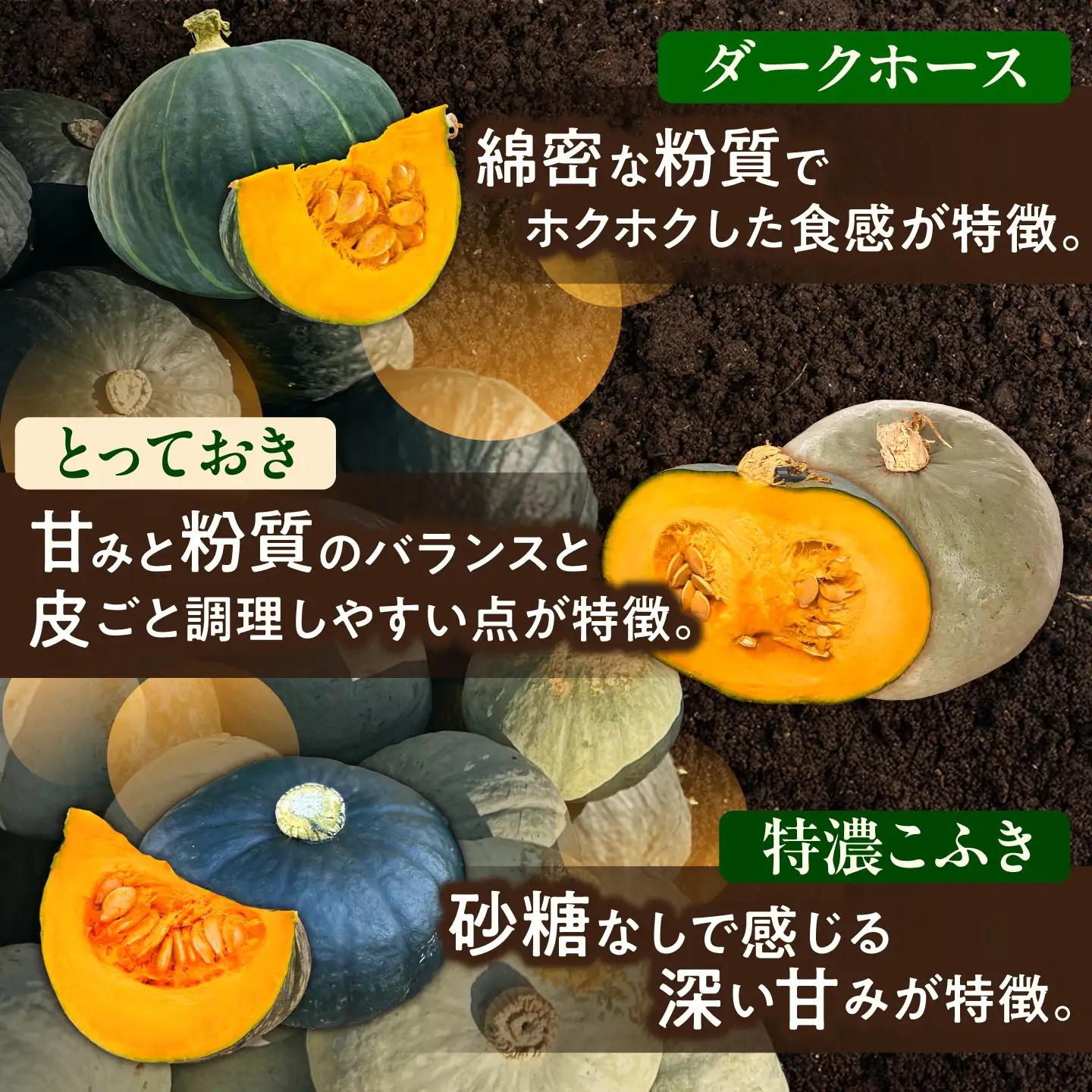 【先行予約】北海道 かぼちゃ ダークホース・とっておき・特濃こふき 3種類×1個 【9月中旬以降発送】足寄町/足寄アグリバイオ株式会社 [BEAC012]