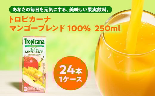 
            トロピカーナ 100％ マンゴーブレンド 250mlLLスリム×24本 【ジュース 飲料 フルーツ 紙パック 贈答品 贈り物 】
          