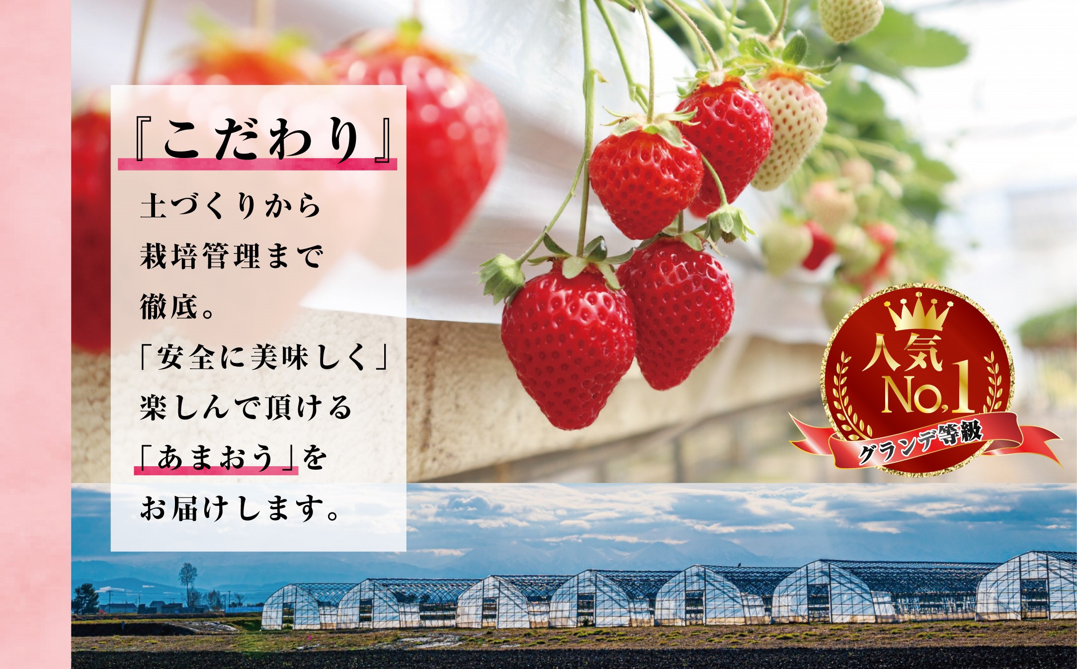 3W1　福岡県産　あまおう約1,080ｇ（約270ｇ×4パック）