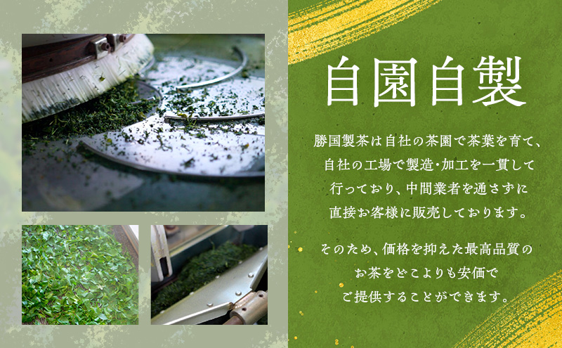 煎茶 鈴子 100g×２個セット 熨斗 のし あり お茶 贈答用 ギフト お中元 【ふくろう】